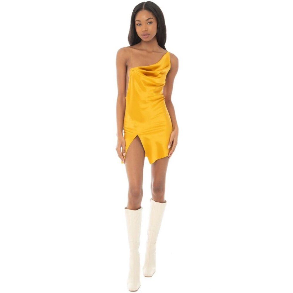 Are You Am I Dress in Honey | Silk | Mini Dress | XS